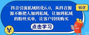 抖音引流私域转化6.0,从抖音源源不断把人加到私域,让加到私域的粉丝买单,让客户持续购买-葛仙仙资源库