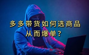 多多视频带货选什么商品链接才能爆单,10分钟教会你,爆单不是浮云【揭秘】-葛仙仙资源库