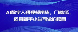 AI数字人短视频带货,门槛低,适合新手小白可做的项目-葛仙仙资源库