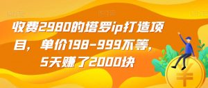 收费2980的塔罗ip打造项目,单价198-999不等,5天赚了2000块【揭秘】-葛仙仙资源库