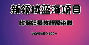 虚拟资源蓝海领域新项目，轻松日入800＋，附保姆级教程及资料-葛仙仙资源库