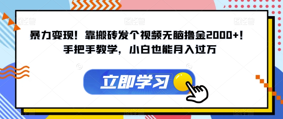 暴力变现！靠搬砖发个视频无脑撸金2000+！手把手教学，小白也能月入过万【揭秘】-葛仙仙资源库
