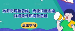 达芬奇调色思维,商业项目实操,打通软件和调色思维-葛仙仙资源库