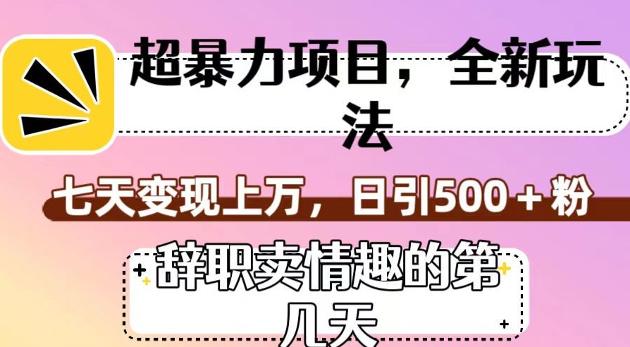 超暴利项目，全新玩法（辞职卖情趣的第几天），七天变现上万，日引500+粉【揭秘】-葛仙仙资源库