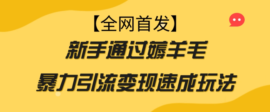 【全网首发】新手通过薅羊毛暴力引流变现速成玩法-葛仙仙资源库