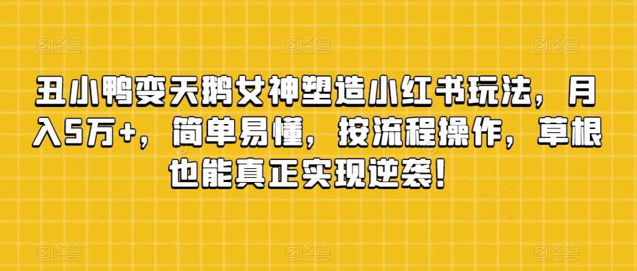 丑小鸭变天鹅女神塑造小红书玩法，月入5万+，简单易懂，按流程操作，草根也能真正实现逆袭！-葛仙仙资源库