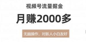 视频号流量掘金,无脑操作,对新人小白友好,月赚2000多【揭秘】-葛仙仙资源库
