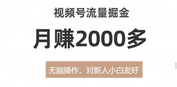视频号流量掘金，无脑操作，对新人小白友好，月赚2000多【揭秘】-葛仙仙资源库