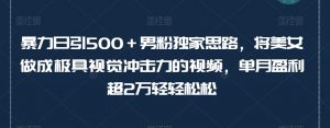 暴力日引500+男粉独家思路,将美女做成极具视觉冲击力的视频,单月盈利超2万轻轻松松-葛仙仙资源库