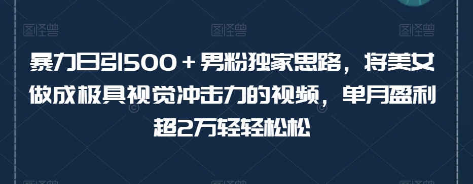暴力日引500＋男粉独家思路，将美女做成极具视觉冲击力的视频，单月盈利超2万轻轻松松-葛仙仙资源库