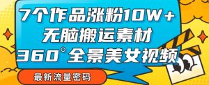 7个作品涨粉10W+,无脑搬运素材,全景美女视频爆款玩法分享【揭秘】-葛仙仙资源库