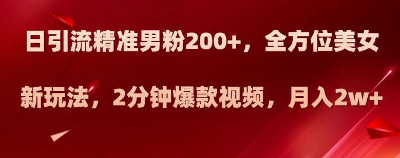 日引流精准男粉200+，全方位美女新玩法，2分钟爆款视频，月入2w+【揭秘】-葛仙仙资源库