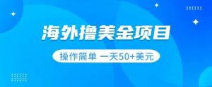 撸美金项目无门槛操作简单小白一天50+美刀-葛仙仙资源库