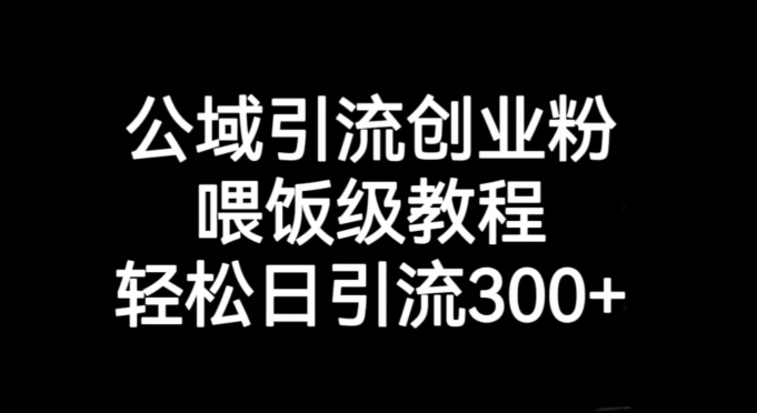 公域引流创业粉，喂饭级教程，轻松日引流300+【揭秘】-葛仙仙资源库