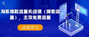 淘系爆款流量实战课(搜索流量),主攻免费流量-葛仙仙资源库