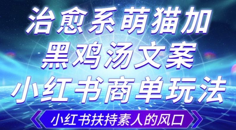 治愈系萌猫加+黑鸡汤文案，小红书商单玩法，3~10天涨到1000粉，一单200左右-葛仙仙资源库