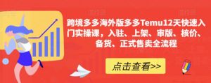 跨境多多海外版多多Temu12天快速入门实操课,入驻、上架、审版、核价、备货、正式售卖全流程-葛仙仙资源库