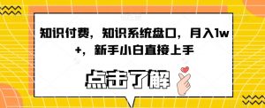 知识付费,知识系统盘口,月入1w+,新手小白直接上手-葛仙仙资源库