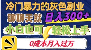 冷门暴利的副业项目,聊聊天就能日入300+,0成本月入过万【揭秘】-葛仙仙资源库