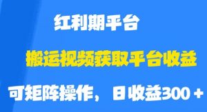 搬运视频获取平台收益,平台红利期,附保姆级教程【揭秘】-葛仙仙资源库