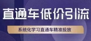 直通车低价引流课,系统化学习直通车精准投放-葛仙仙资源库