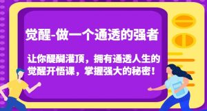 觉醒-做一个通透的强者,让你醍醐灌顶,拥有通透人生的觉醒开悟课,掌握强大的秘密!-葛仙仙资源库