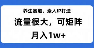 养生赛道,素人IP打造,流量很大,可矩阵,月入1w+【揭秘】-葛仙仙资源库