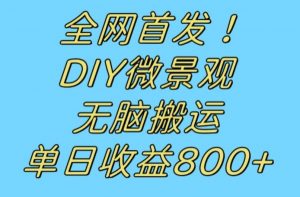 全网首发冷门赛道!DIY微景观,无脑搬运视频,日收益800+【揭秘】-葛仙仙资源库
