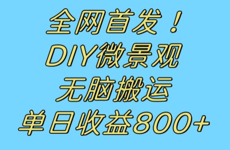全网首发冷门赛道！DIY微景观，无脑搬运视频，日收益800+【揭秘】-葛仙仙资源库