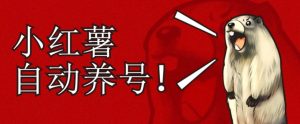 小红书养号秘籍,如何自动涨粉清晰系统标签打造高权重账号【揭秘】-葛仙仙资源库