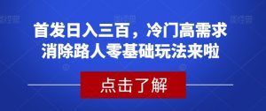 首发日入三百，冷门高需求消除路人零基础玩法来啦【揭秘】-葛仙仙资源库