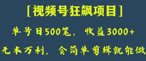 日收款500笔，纯利润3000+，视频号狂飙项目，会简单剪辑就能做【揭秘】-葛仙仙资源库
