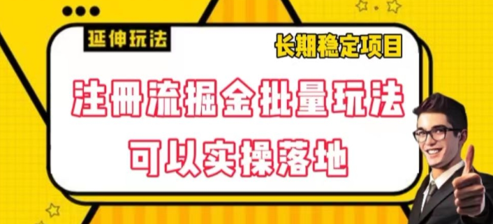 注册流掘金批量玩法，可以实操落地【揭秘】-葛仙仙资源库