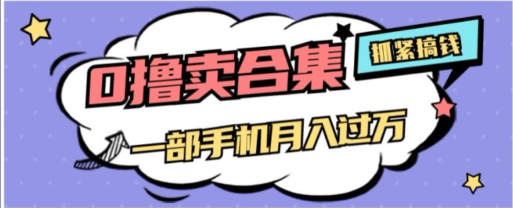 0撸项目月入过万，售卖全套ai工具合集，一单29.9元，一部手机即可【揭秘】-葛仙仙资源库