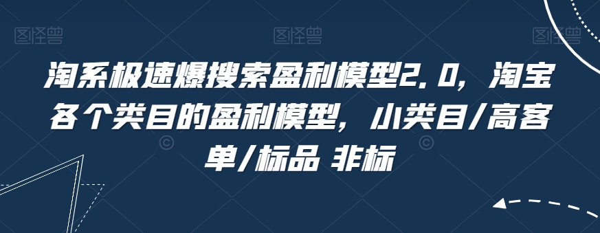 淘系极速爆搜索盈利模型2.0，淘宝各个类目的盈利模型，小类目/高客单/标品 非标-葛仙仙资源库
