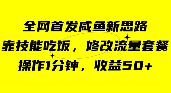 咸鱼冷门新玩法，靠“技能吃饭”，修改流量套餐，操作1分钟，收益50【揭秘】-葛仙仙资源库
