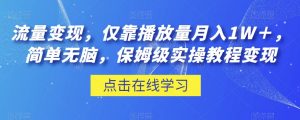 流量变现,仅靠播放量月入1W+,简单无脑,保姆级实操教程【揭秘】-葛仙仙资源库