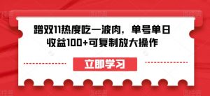 蹭双11热度吃一波肉，单号单日收益100+可复制放大操作【揭秘】-葛仙仙资源库