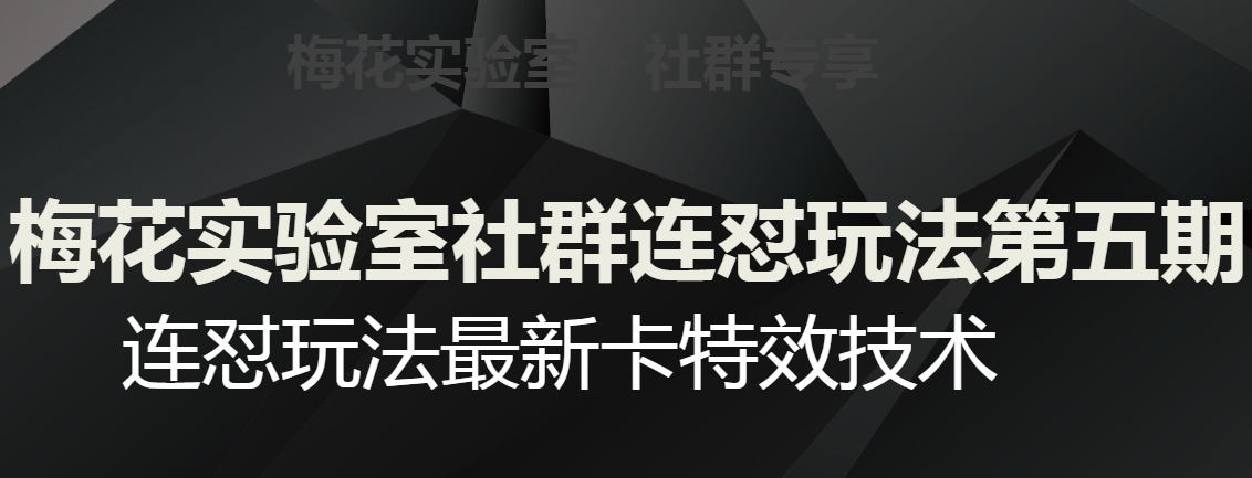 梅花实验室社群连怼玩法第五期，视频号连怼玩法最新卡特效技术-葛仙仙资源库