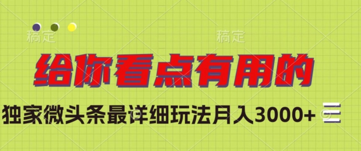 独家微头条最详细玩法，月入3000+【揭秘】-葛仙仙资源库