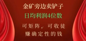金矿旁边卖铲子,赚确定性的钱,可矩阵,可收徒,日均利润4位数【揭秘】-葛仙仙资源库