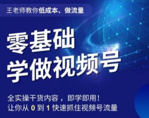 王老师教你低成本、做流量,零基础学做视频号,0-1快速抓住视频号流量-葛仙仙资源库