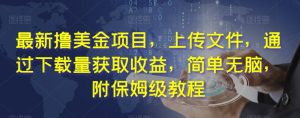 最新撸美金项目,上传文件,通过下载量获取收益,简单无脑,附保姆级教程【揭秘】-葛仙仙资源库