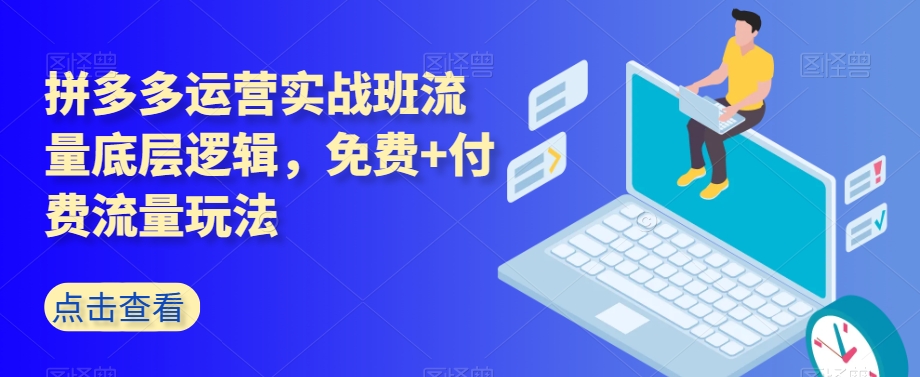 拼多多运营实战班流量底层逻辑，免费+付费流量玩法-葛仙仙资源库