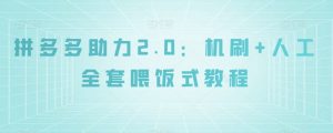 拼多多助力2.0：机刷+人工全套喂饭式教程【揭秘】-葛仙仙资源库