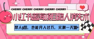 小红书蓝海项目路人消失术,帮人p图,也能月入过万,实测一天300+【揭秘】-葛仙仙资源库