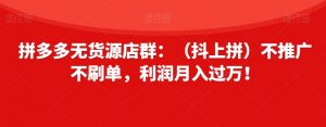 拼多多无货源店群:(抖上拼)不推广不刷单,利润月入过万!【揭秘】-葛仙仙资源库
