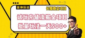 试玩充值流掘金项目,批量矩阵玩法一天500+【揭秘】-葛仙仙资源库