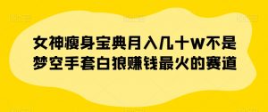 女神瘦身宝典月入几十W不是梦空手套白狼赚钱最火的赛道【揭秘】-葛仙仙资源库