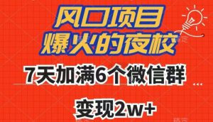 全网首发，爆火的夜校，7天加满6个微信群，变现2w+【揭秘】-葛仙仙资源库